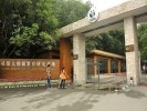 成都熊貓基地、三星堆純玩1日游大團