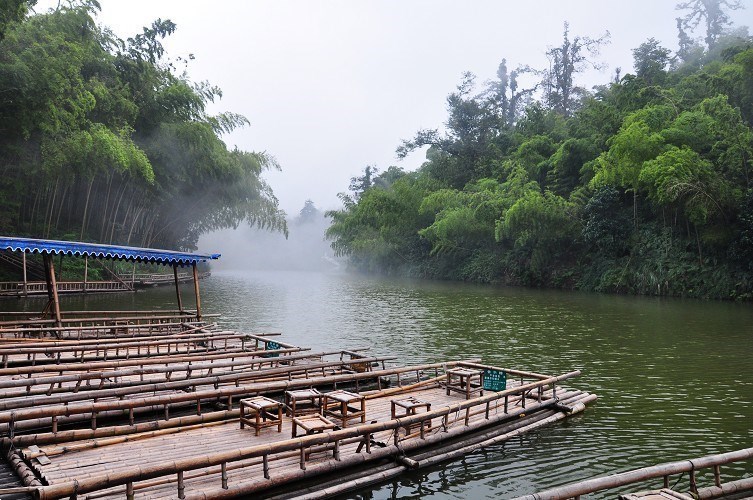 蜀南竹海-處處有美景，處處有詩意，處處包含著竹的清香