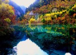 【九黃花開】九寨、若爾蓋花湖、九曲黃河第一灣環(huán)線4天3晚2-8人團(tuán)