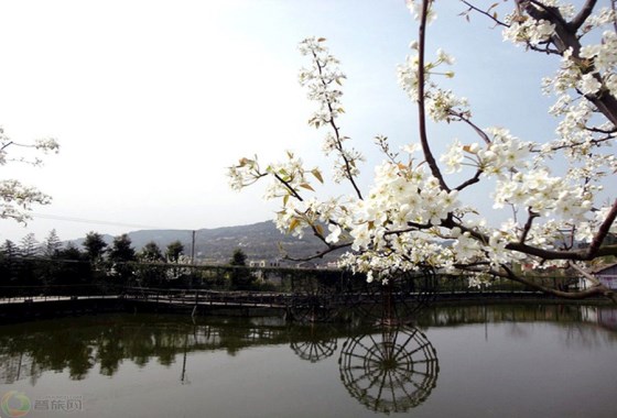 梨文化博覽園
