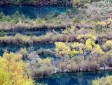 樹正群海