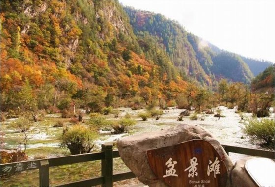 盆景灘