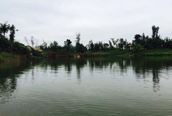 洛水濕地公園