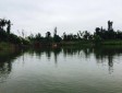 洛水濕地公園