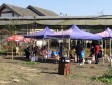 新津田園牧歌生態農業開發園
