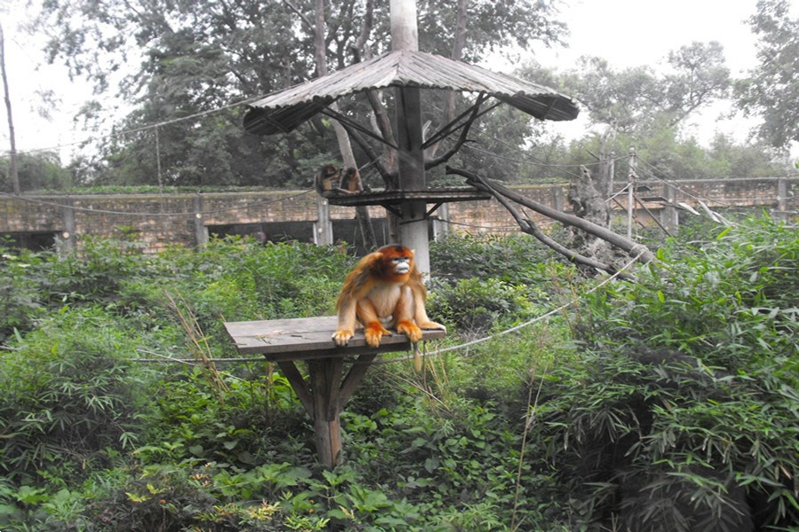 成都動物園