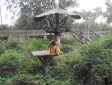 成都動物園