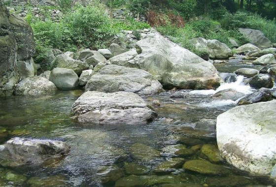龍池國家森林公園