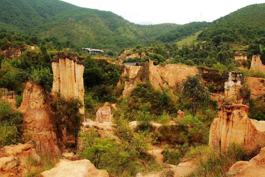 黃聯土林