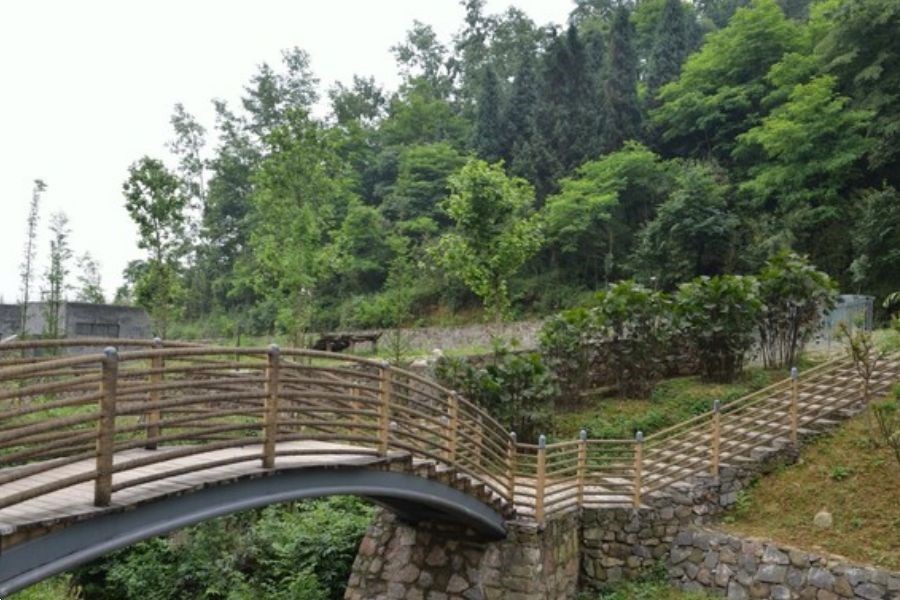 熊貓樂園