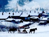 好客山東·美麗大連雙飛單船六日游 （大連進·青島出）