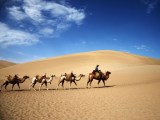 天山天池、火州吐魯番、喀納斯雙臥11日游