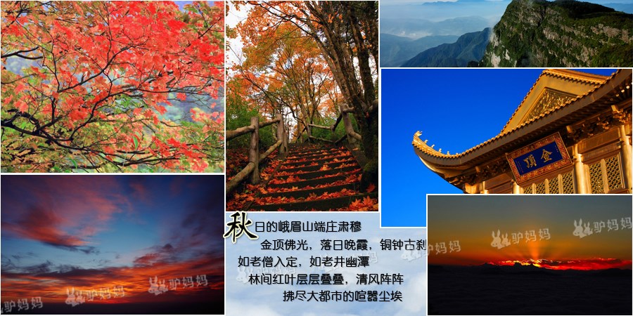 峨眉山峨眉山景區(qū)