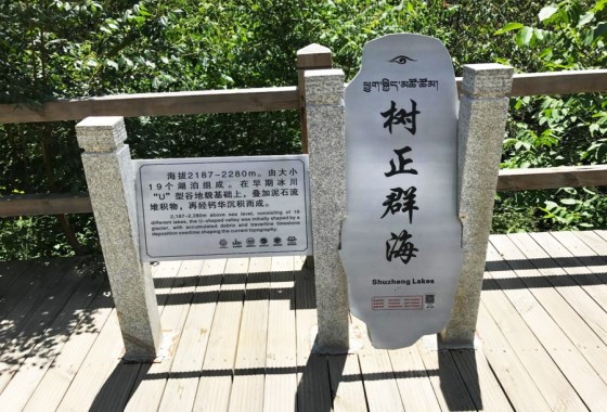 樹正群海