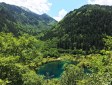樹正群海