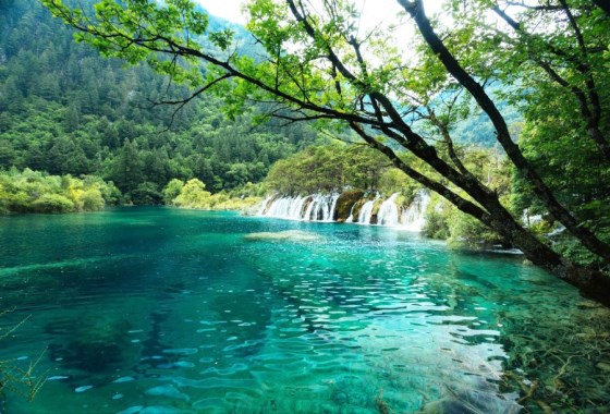 臥龍海