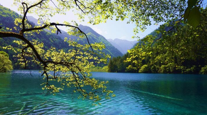 發現九寨溝的美，來一場鏡海無憂無慮的旅行