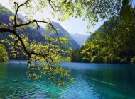 發現九寨溝的美，來一場鏡海無憂無慮的旅行