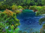 翠海疊瀑無限美，九寨溝樹正群海動人心弦