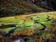 七藏溝