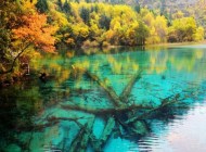 五花海,九寨溝之旅必去之地
