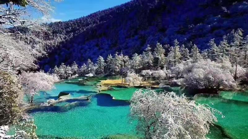 來九寨溝，感受原始森林的雪山美景
