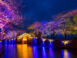 華東四市、迪斯尼歡樂雙飛6日游