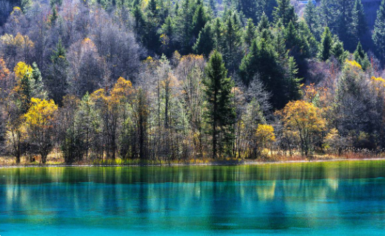 暢游九寨溝，這三大景點不可錯過
